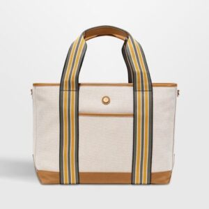 cuyana-bag